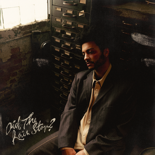 Did The Rain Stop? - Vinyl